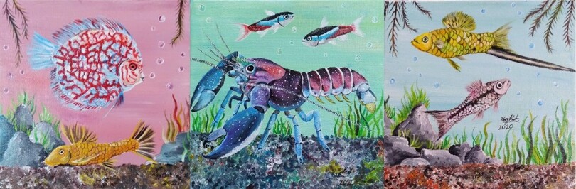 TINTS OF THE TANK - SERIES 02