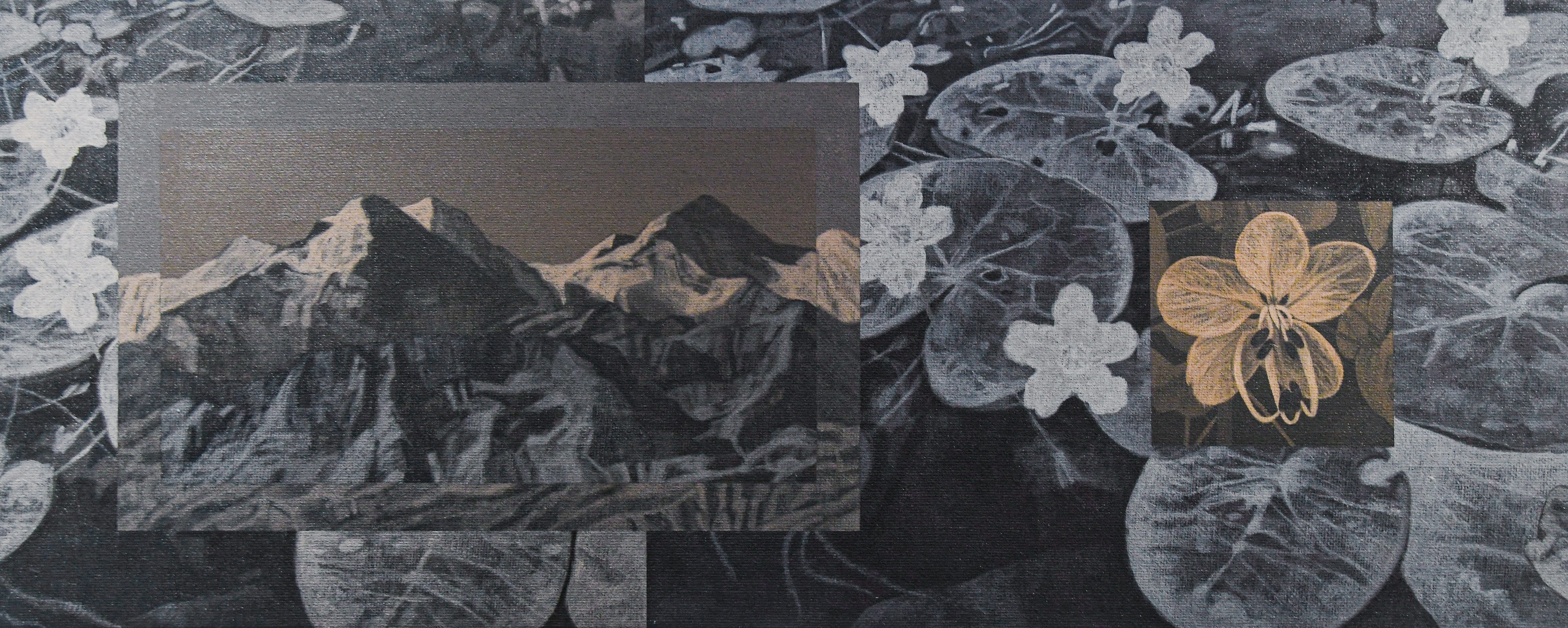 Dusk &amp; Night: Back,Middle &amp; Foreground 1