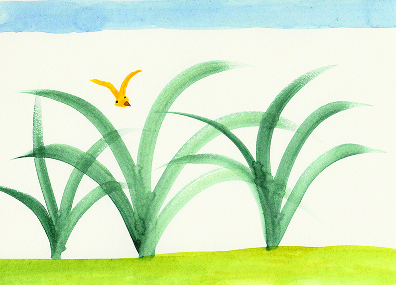 Bird and Plant