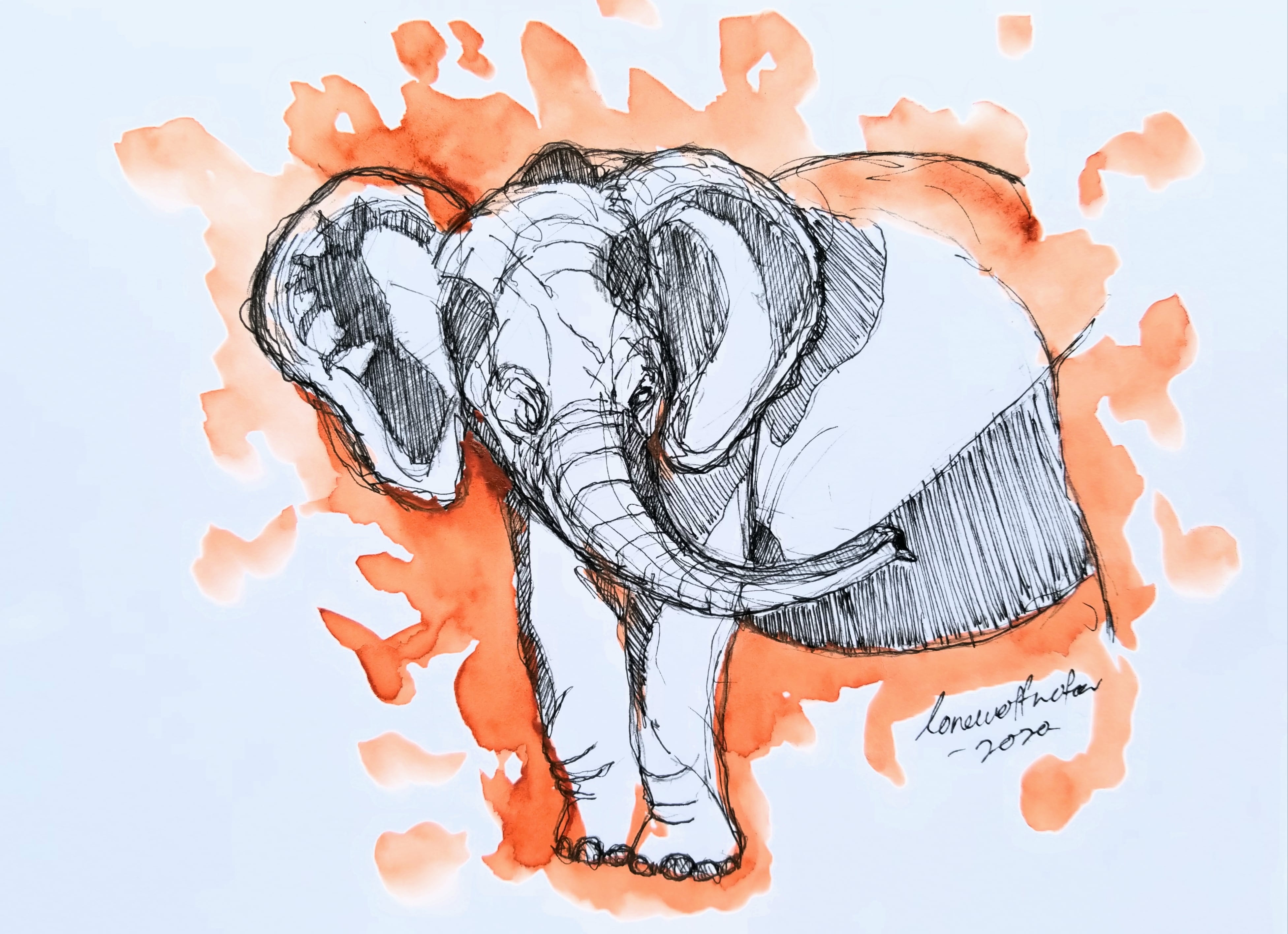 Elephant Watercolour by Musa