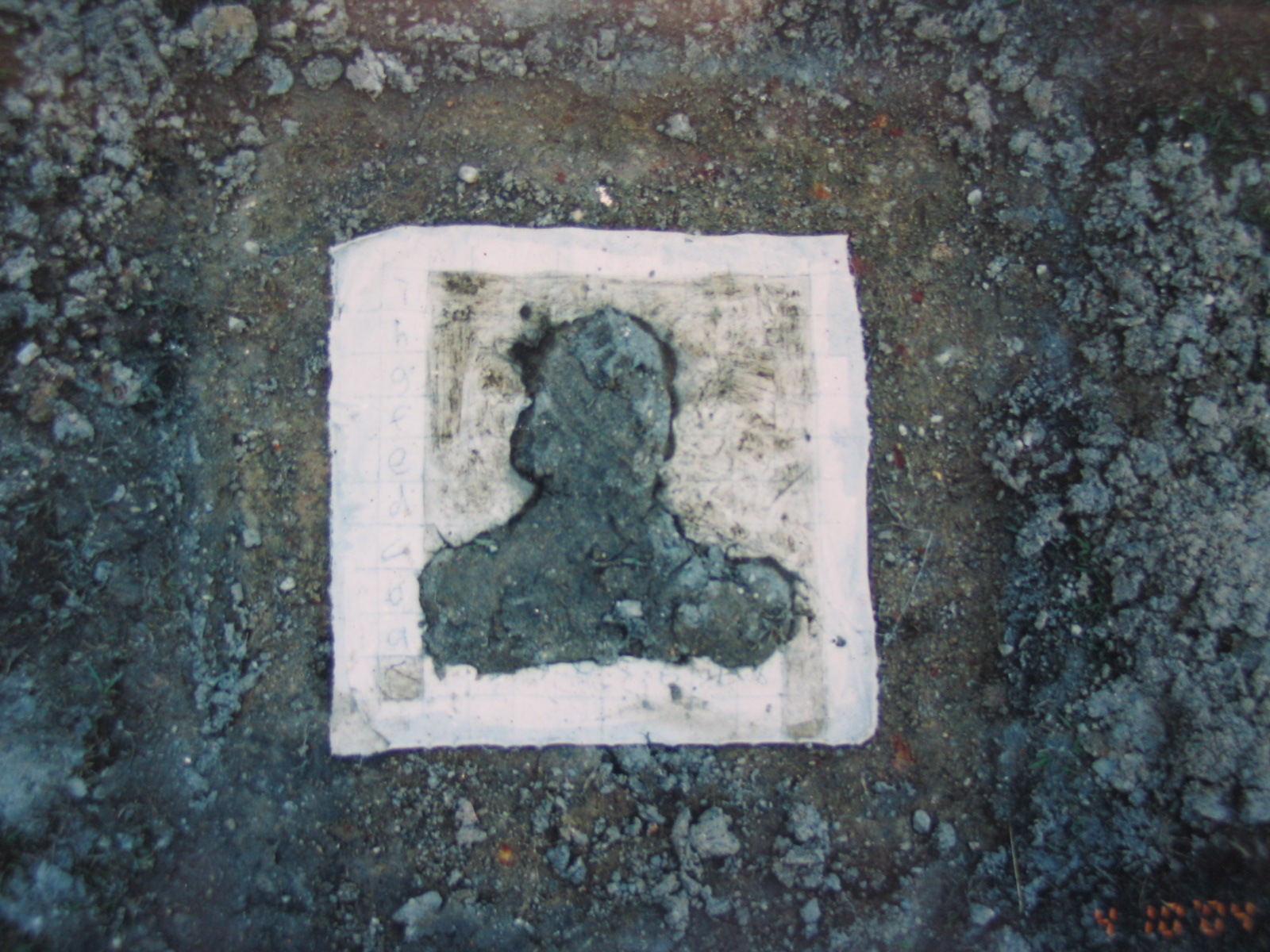 Self Portrait (Detail 2)