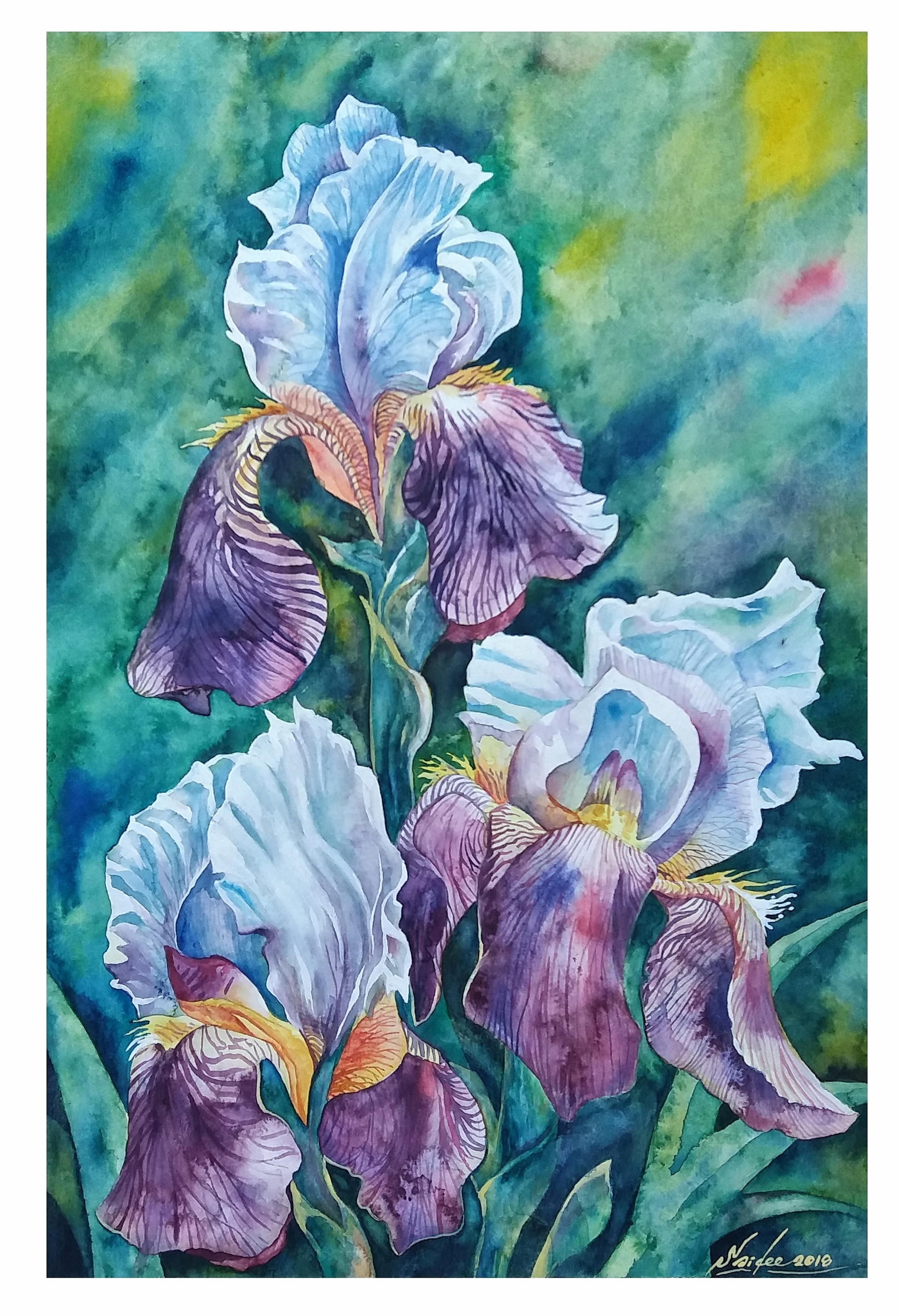 Untitled 155
