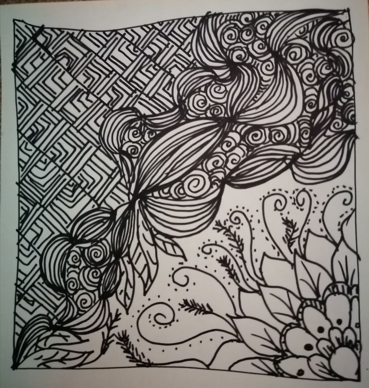 Untitled 446