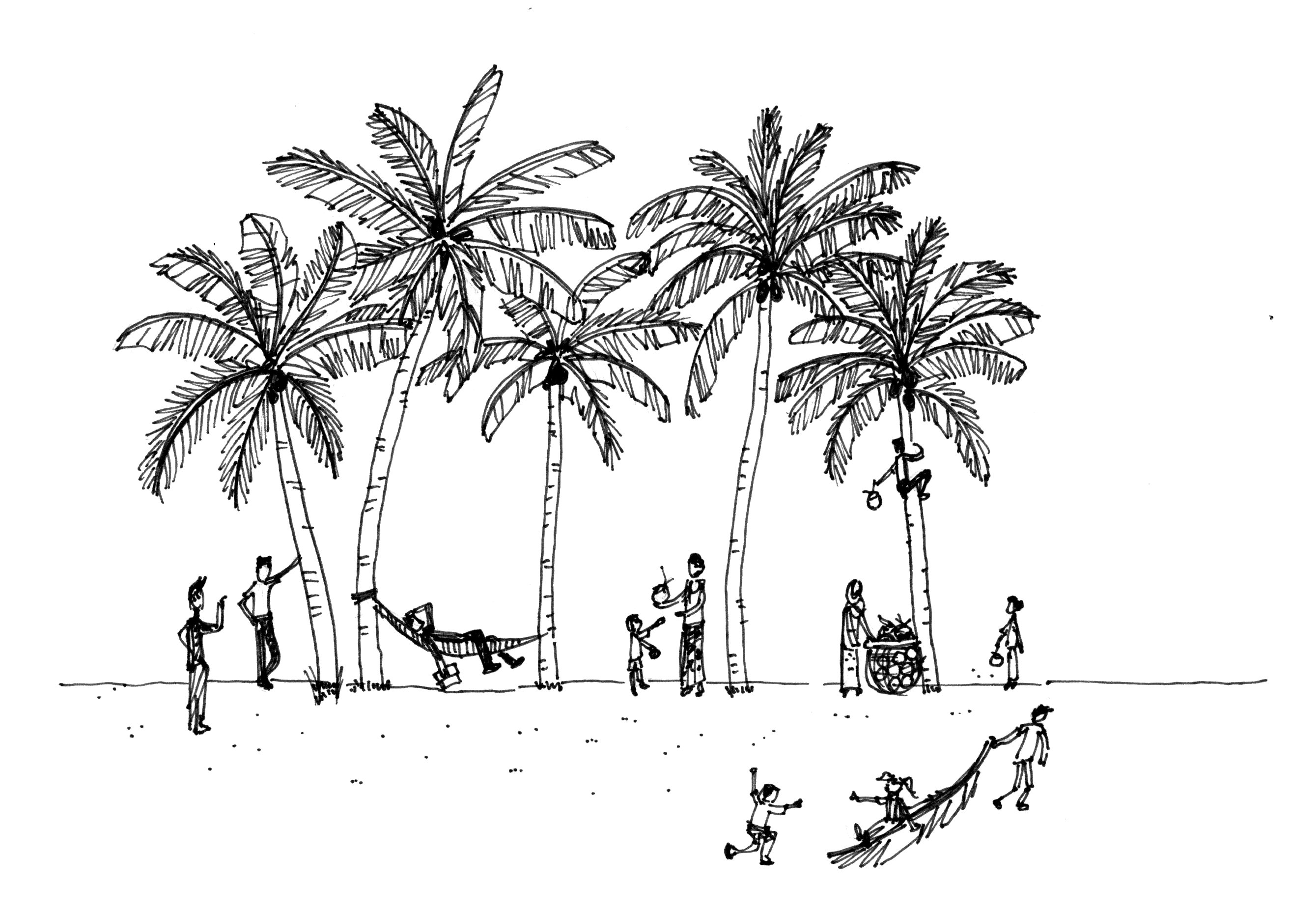 coconut community